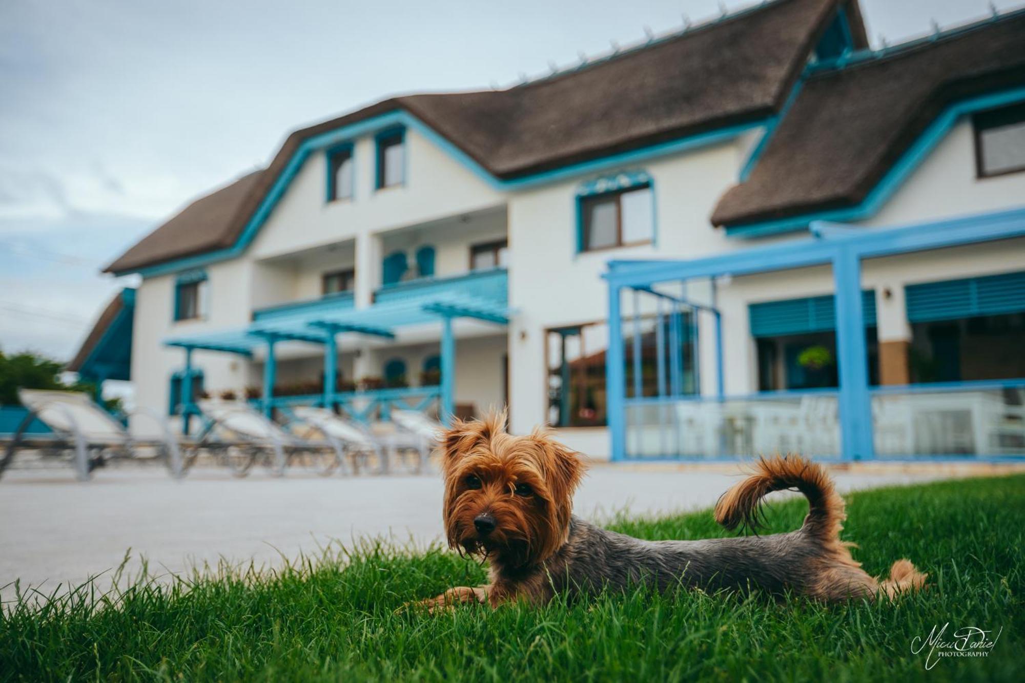 Pensiunea Briza Marii Журіловка Екстер'єр фото